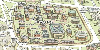 نقشہ کی ہارورڈ یونیورسٹی